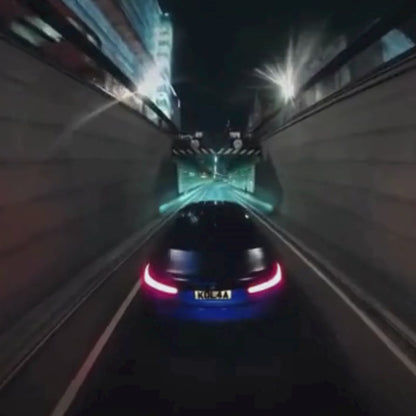 Exterior Triple Suction Cup Vehicle Rig